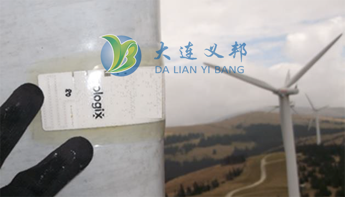 大連義邦引進奧地利智能風機防冰傳感系統