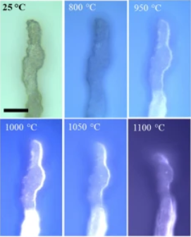 氮化硼納米管是一種制備,高動能穿透物屏蔽材料和高耐磨復合材料的新一代填料