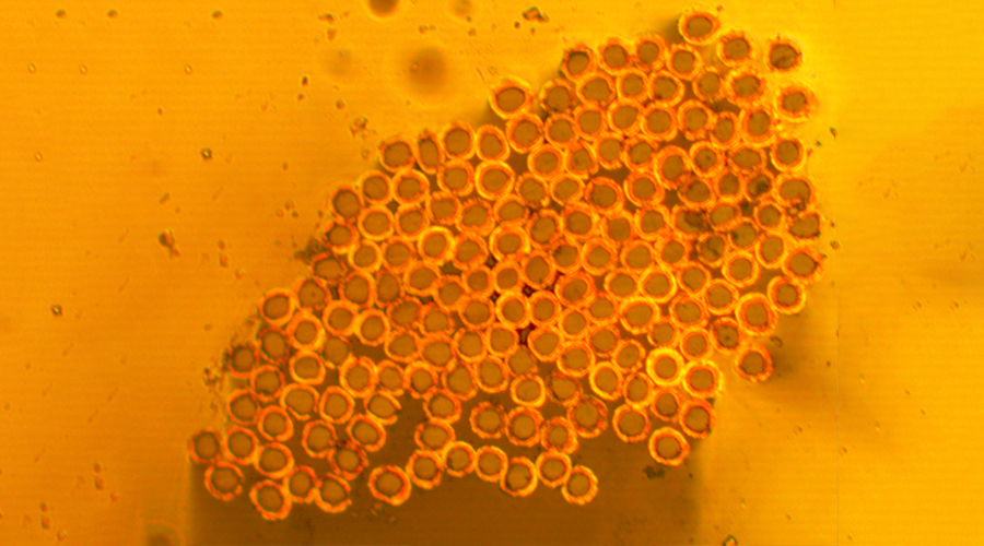 采用Syscom特有鍍金屬纖維絲化學電鍍工藝,金屬結合度高達80%以上